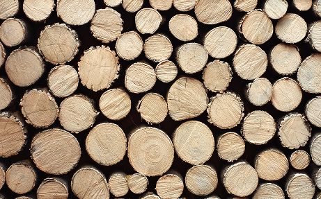 Stacked wood