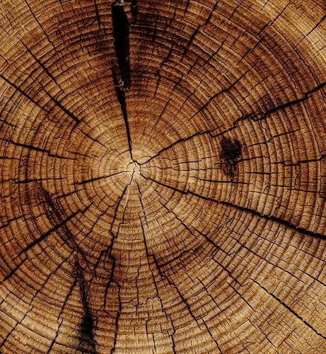 Wood