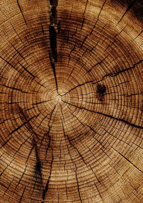 Wood
